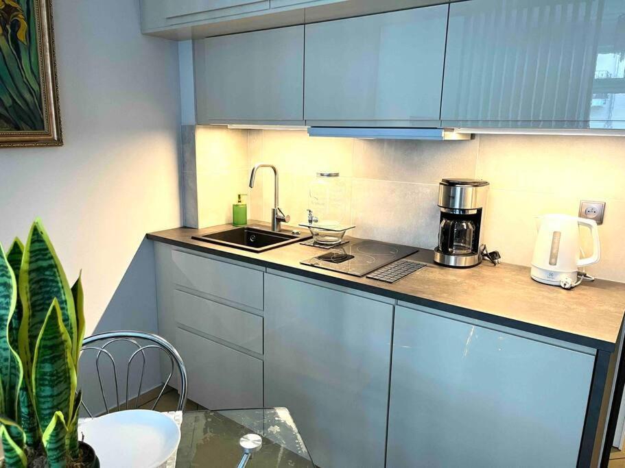 Sea Promenade Luxury Apartment سفينويتشي المظهر الخارجي الصورة